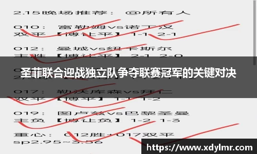 圣菲联合迎战独立队争夺联赛冠军的关键对决